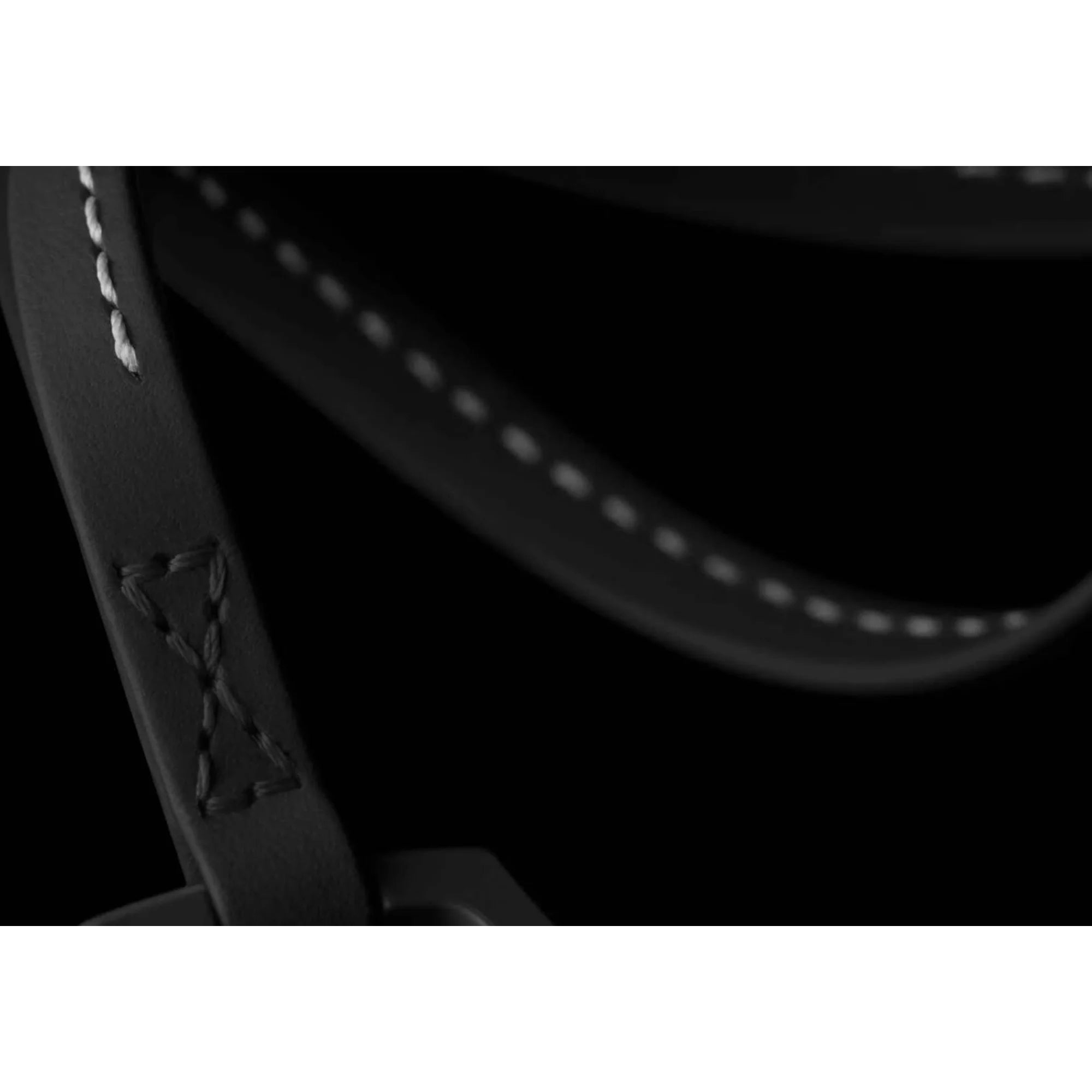 Black Swatch X AP Royal POP