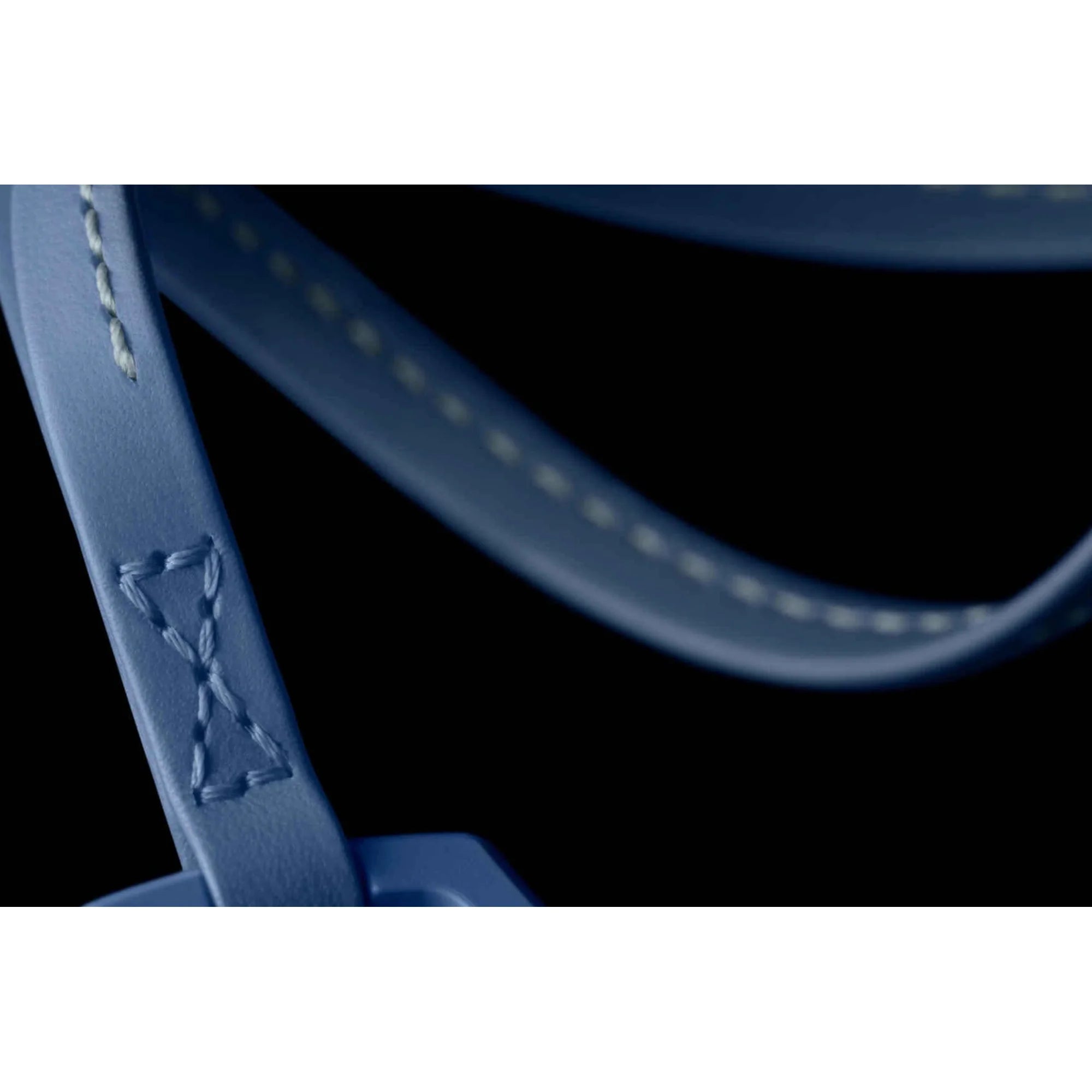Blue Swatch X AP Royal POP